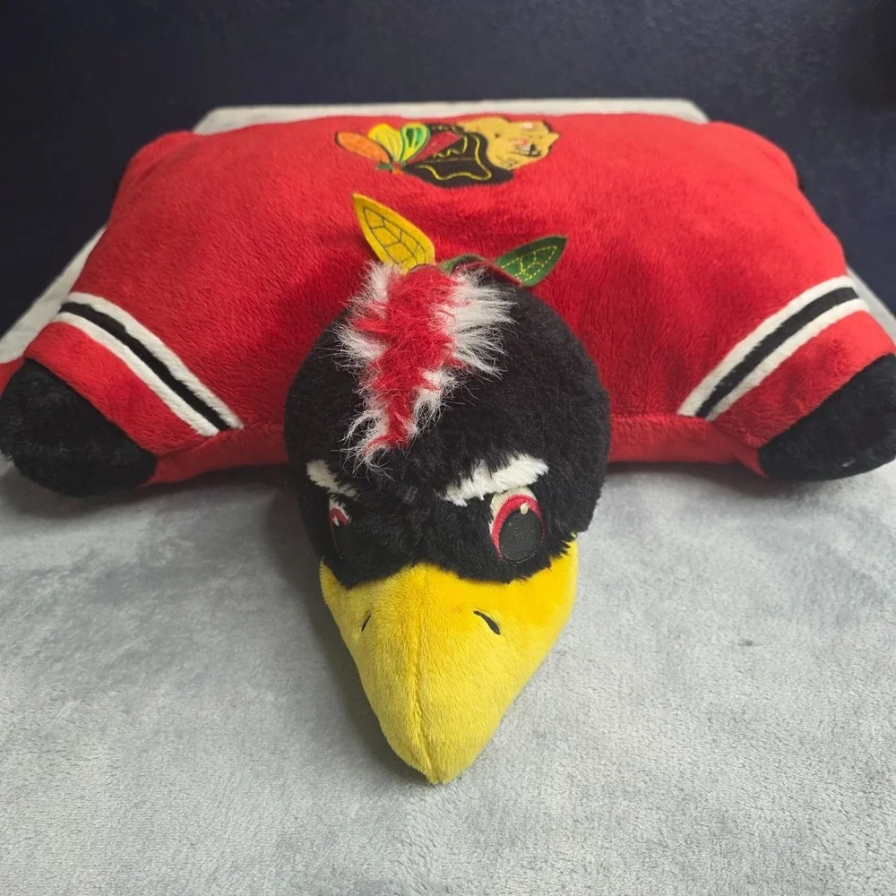 Chicago Blackhawks Large 18